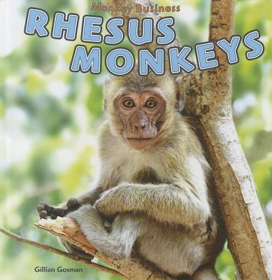 Rhesus Monkeys - Houghton Gosman, Gillian