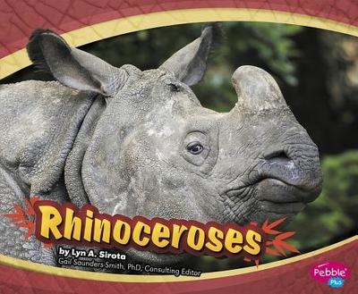 Rhinoceroses - Mattern, Joanne