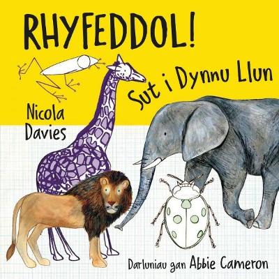Rhyfeddol! Sut i Dynnu Llun - Davies, Nicola, and Pierce, Anwen (Translated by), and Cameron, Abbie (Illustrator)