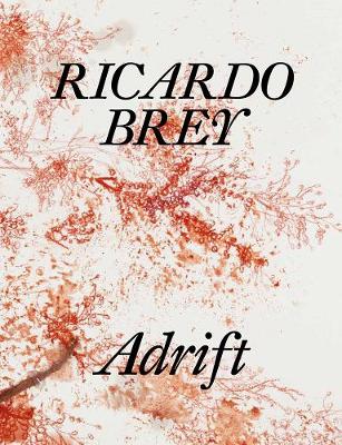 Ricardo Brey: Adrift - Hartog, Arie, and James, Erica Moiah, and Moffitt, Evan