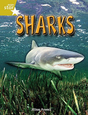 Rigby Star Independent Year 2 Gold Non Fiction Sharks Single - Powell, Jillian