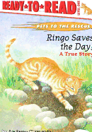 Ringo Saves the Day