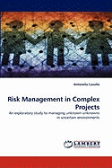 Risk Management in Complex Projects