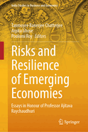 Risks and Resilience of Emerging Economies: Essays in Honour of Professor Ajitava Raychaudhuri