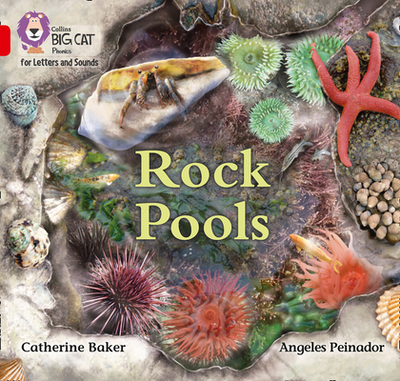 Rock Pools: Band 02b/Red B - Baker, Catherine, and Collins Big Cat (Prepared for publication by)