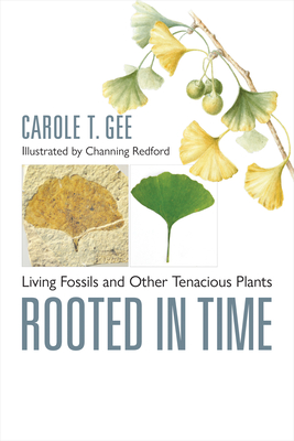 Rooted in Time: Living Fossils and Other Tenacious Plants - Gee, Carole T