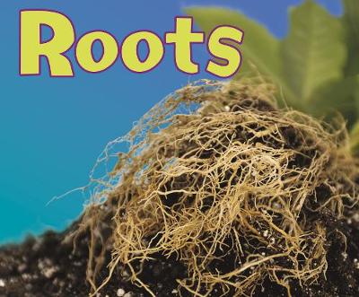 Roots - Bodach, Vijaya Khisty