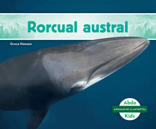 Rorcual Austral (Southern Minke Whale)