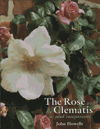 Rose and the Clematis