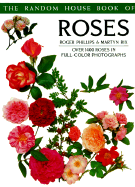 Roses: American Edition