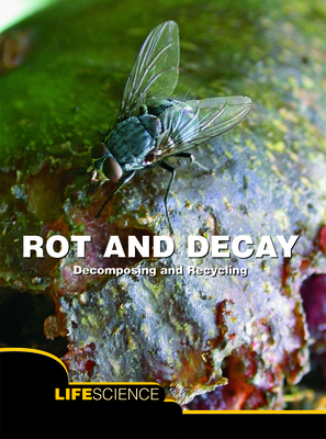 Rot and Decay: Decomposing and Recycling - Levete