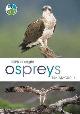 RSPB Spotlight Ospreys - Mackrill, Tim