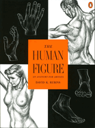 Rubins David K. : Human Figure
