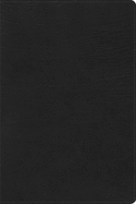RVR 1960 Biblia de Estudio Arco Iris, negro imitacion piel