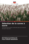 S?lection de la canne ? sucre