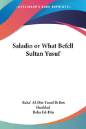 Saladin or What Befell Sultan Yusuf