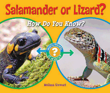 Salamander or Lizard?: How Do You Know?