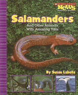 Salamanders and Other Animals with Amazing Tails