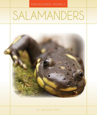Salamanders - Pope, Kristen