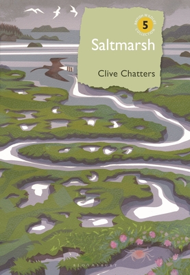 Saltmarsh - Chatters, Clive