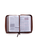 Santa Biblia de Promesas Reina-Valera 1960 / Compacta / Letra Grande / Piel Especial Con Cierre / Caf? // Spanish Promise Bible Rvr60 / Compact / Large Print / Leathersoft with Zipper / Brown