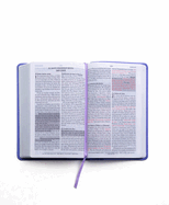Santa Biblia de Promesas Reina-Valera 1960 / Tamao Manual / Letra Grande / Piel Especial / Lavanda // Spanish Promise Bible Rvr60 / Handy Size / Large Print / Leathersoft / Lavander