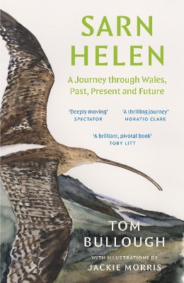 Sarn Helen: A Journey Through Wales, Past, Present and Future - Bullough, Tom