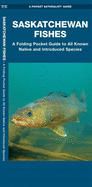 Saskatchewan Fishes: A Folding Pocket Guide to All Known Natuve and Introduced Species