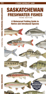 Saskatchewan Freshwater Fishes: A Folding Guide to Native and Introduced Species