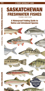 Saskatchewan Freshwater Fishes: A Waterproof Folding Guide to Native and Introduced Species