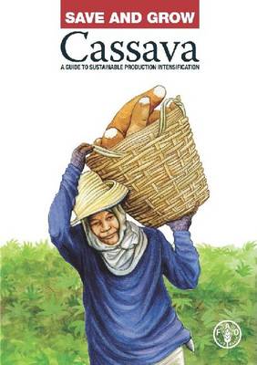Save and grow: cassava, a guide to sustainable production intensification - Food and Agriculture Organization