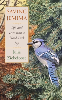 Saving Jemima: Life and Love with a Hard-Luck Jay - Zickefoose, Julie