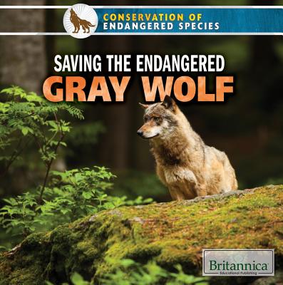 Saving the Endangered Gray Wolf - Saxena, Shalini