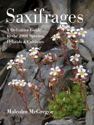 Saxifrages: A Definitive Guide to 2000 Species, Hybrids & Cultivars - McGregor, Malcolm