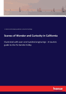 Scenes of Wonder and Curiosity in California: Illustrated with over one hundred engravings - A tourists guide to the Yo-Semite Valley