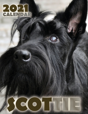 Scottie 2021 Calendar - Over the Wall Dogs