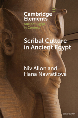 Scribal Culture in Ancient Egypt - Allon, Niv, and Navratilova, Hana