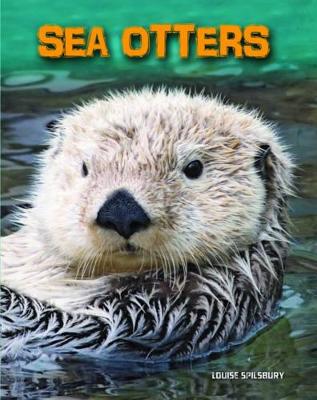 Sea Otters - Spilsbury, Louise