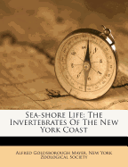 Sea-Shore Life: The Invertebrates of the New York Coast