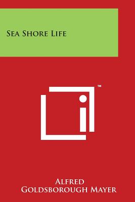 Sea Shore Life - Mayer, Alfred Goldsborough