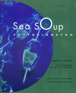 Sea Soup: Phytoplankton