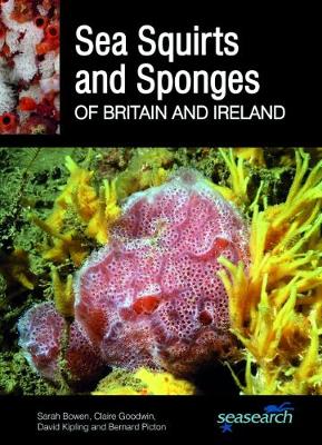 Sea Squirts and Sponges of Britain and Ireland - Bowen, Sarah, and Goodwin, Claire, and Kipling, David