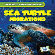 Sea Turtle Migrations