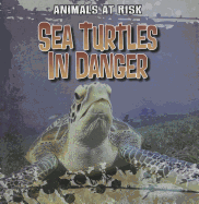 Sea Turtles in Danger