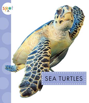 Sea Turtles - Schuh, Mari C