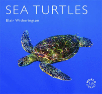 Sea Turtles - Witherington, Blair