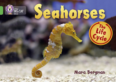 Seahorses: Band 05/Green - Bergman, Mara, and Collins Big Cat (Prepared for publication by)