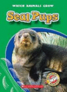 Seal Pups