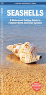 Seashells: A Waterproof Folding Guide to Familiar North American Species