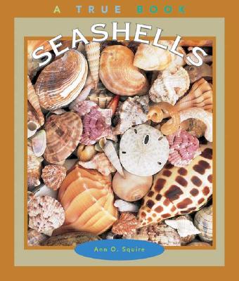 Seashells - Squire, Ann O